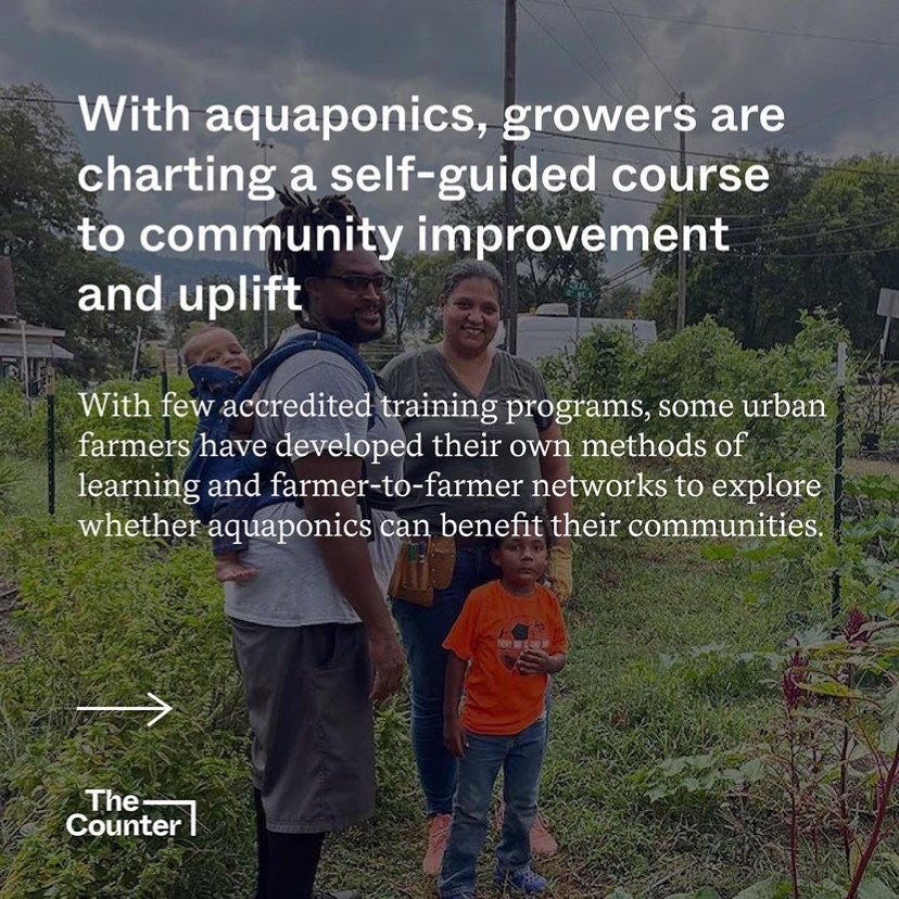 Safiya Charles of The Counter wrote an awesome article about aquaponics and We're in it!