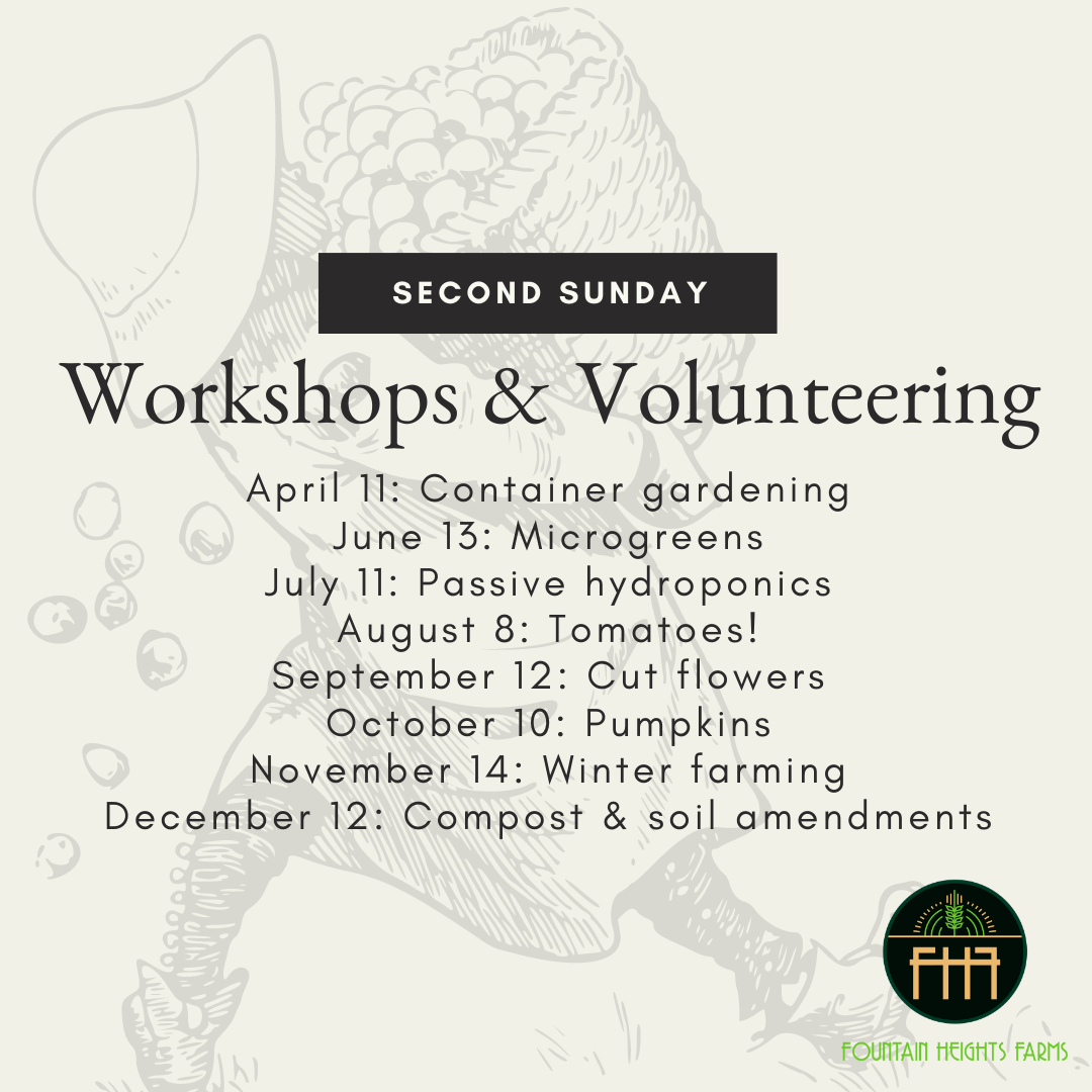 Second Sunday Workshop and Volunteer Days