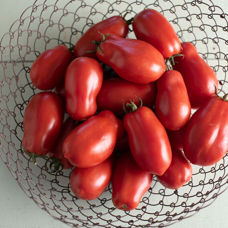 Tomato - San Marzano